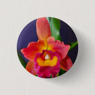 Schaltfläche Rotes und orangefarbenes Button