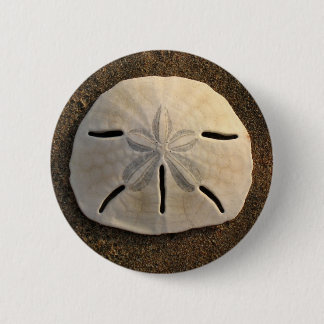 Schaltfläche "Sand Dollar Seashell Foto Custom But Button
