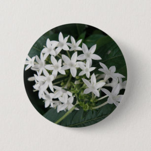 Schaltfläche "Schöne weiße tropische Blume" Button