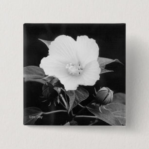 Schaltfläche Schwarz-Weiß-Rosa-Flachbildschirm Button