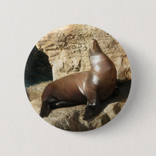Schaltfläche "Sea Lion" Button
