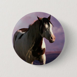 Schaltfläche "Shaman of Steens" Button