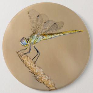 Schaltfläche "Skimmer Dragonfly Insect Female" (CC Button