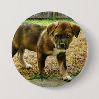 Schaltfläche "T - Shirt der Welpengerade" Button