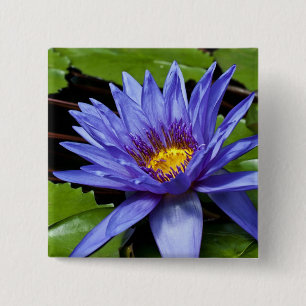 Schaltfläche "Tropische Wasserlilie" Button