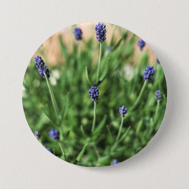 Schaltfläche Violett-Blume Button (Vorderseite)
