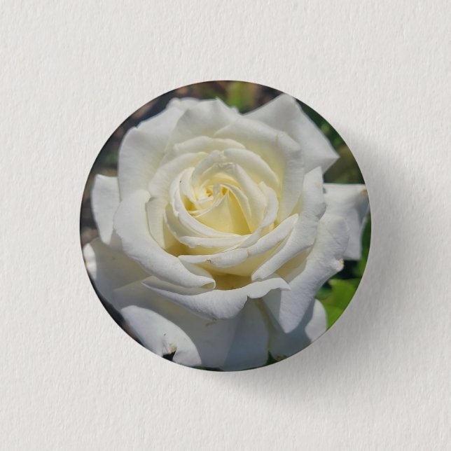 Schaltfläche "Weiße Rose" Button (Vorderseite)