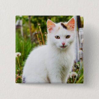 Schaltfläche "White Kitten" Button