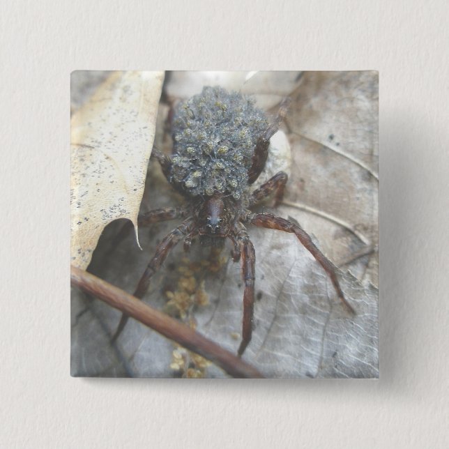 Schaltfläche "Wolf Spider Babies Egg" Button (Vorderseite)