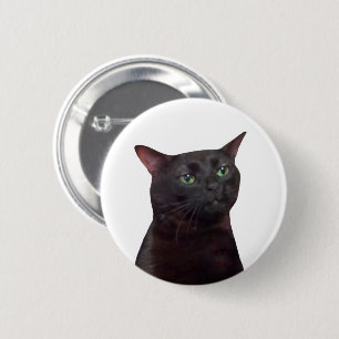 Schaltfläche zum Button von Cat Meme