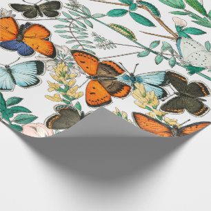 SCHALTFLÄDEN IN DER NATUR GESCHENKPAPIER