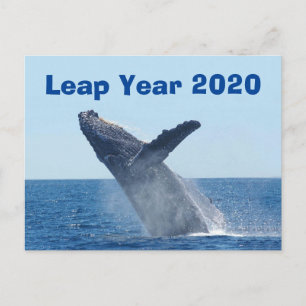 Schaltjahr 2020 postkarte