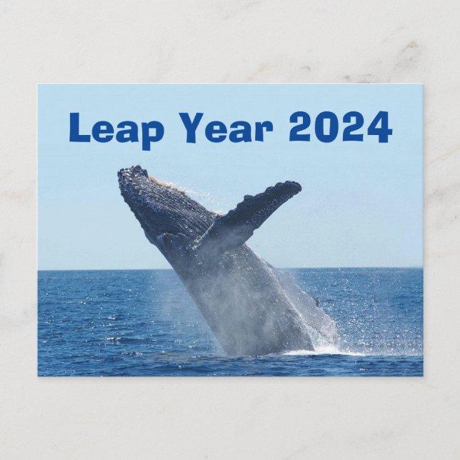 Schaltjahr 2024 postkarte (Vorderseite)