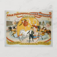 Schaltjahr-Damen-/Clown-Frauen-Zirkus-Plakat