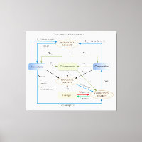 Schaltplan in der Makroökonomie