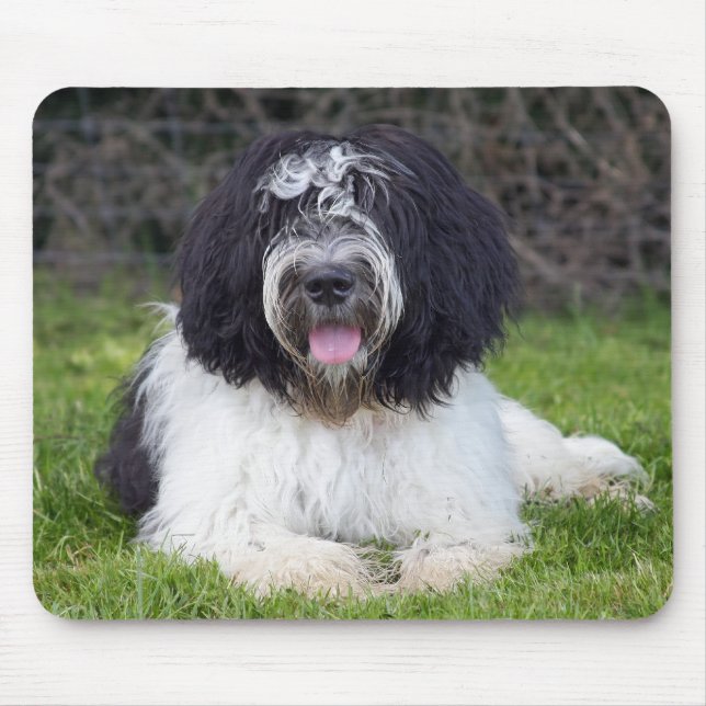 schapendoes mousepad (Vorne)