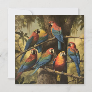 Scharara-Macaw-Dschungeltreffen Lebendige Botanik