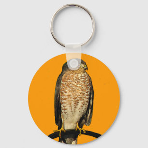 Scharf-Shinned Falke Schlüsselanhänger