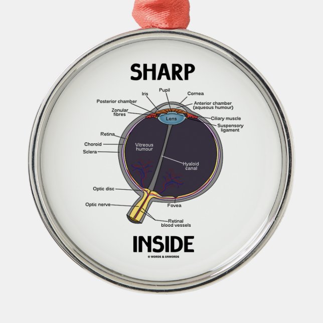Scharfes Innere des Augen-(i) (anatomischer Silbernes Ornament (Vorne)