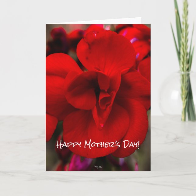 Scharlachrot Begonien- Karte (Vorderseite)