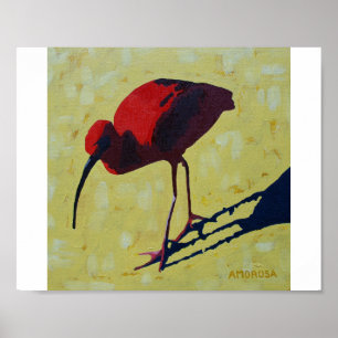 Scharlachrot IBIS Poster
