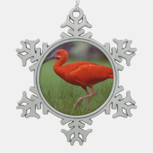 Scharlachrot IBIS Schneeflocken Zinn-Ornament