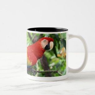 Scharlachrot Macaw auf Ast Zweifarbige Tasse