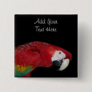 Scharlachrot Macaw- Button