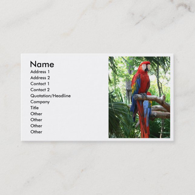 Scharlachrot Macaw, roter Macaw photograp Entwurf Visitenkarte (Vorderseite)