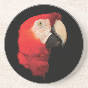Scharlachrot Macaw Untersetzer