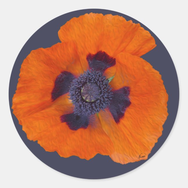 Scharlachrot Orange Poppy 1 Runder Aufkleber (Vorderseite)