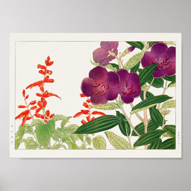 Scharlachrot Salbei, Melastom von Tanigami Konan Poster (Vorne)