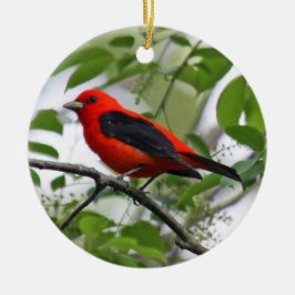 Scharlachrot Tanager-Verzierungs- Keramikornament