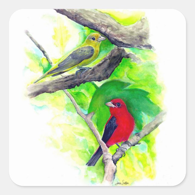 Scharlachrote Vogelscheuche Quadratischer Aufkleber (Vorderseite)