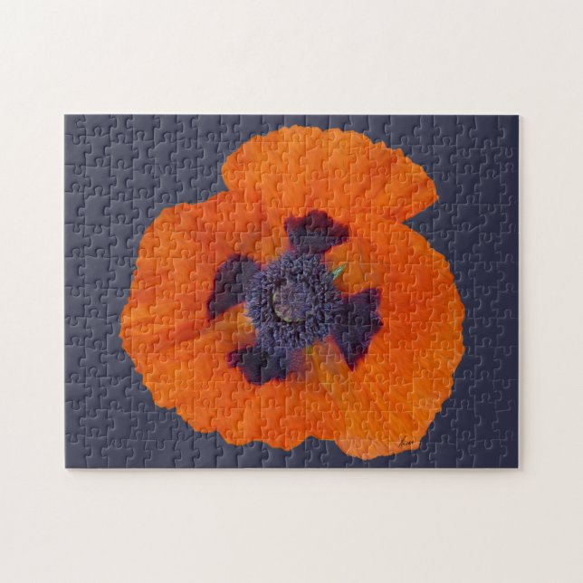 Scharlachroter Mohn 1 (Horizontal)
