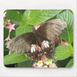 Scharlachrotes Frack Butterfly Macro Mousepad