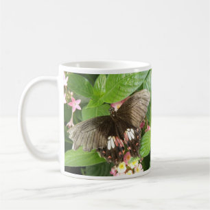 Scharlachrotes Frack Schmetterling Makro Tasse