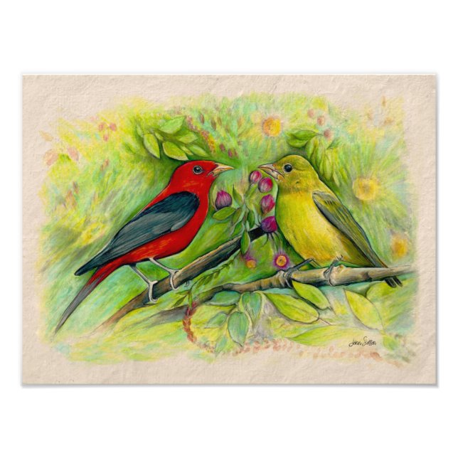 Scharlachteppiche Aquarellfarbener Bleistift Zeich Fotodruck (Vorne)