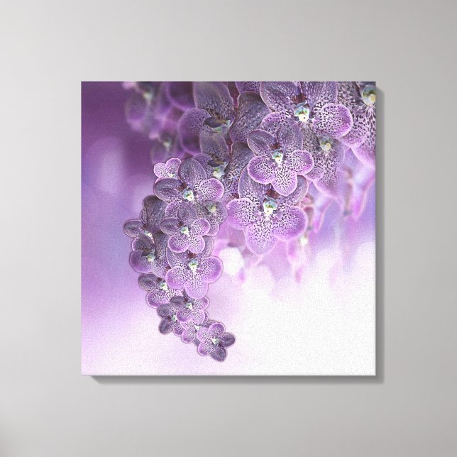 Schatten der Lila Orchideen von Violet Leinwanddruck (Vorderseite)