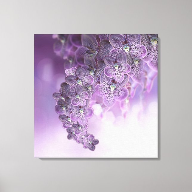 Schatten der Lila Orchideen von Violet Leinwanddruck (Vorderseite)