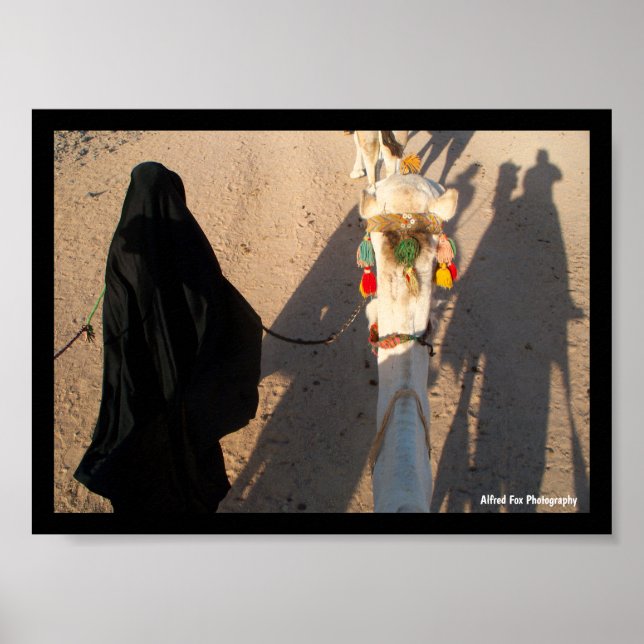 Schatten der Wüste Poster (Vorne)