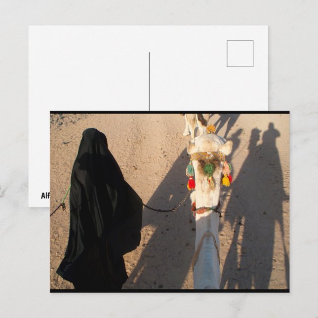 Schatten der Wüste Postkarte (Vorne/Hinten)