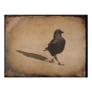 Schatten Fotodruck