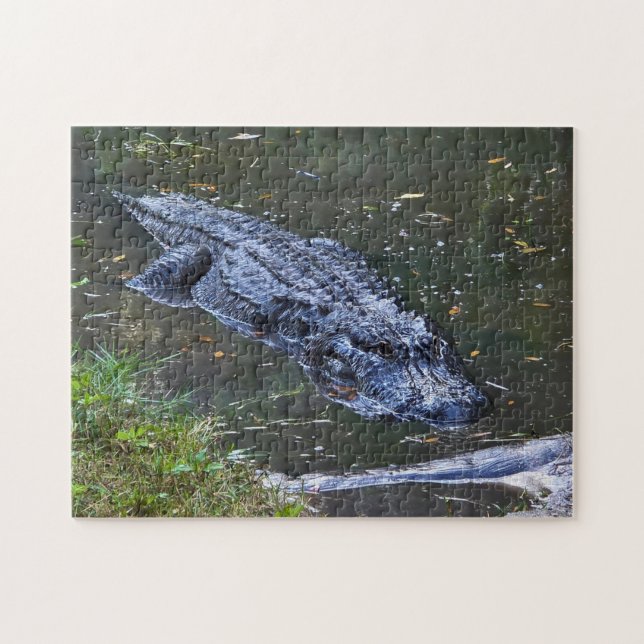 Schatten in den Untiefen (Horizontal)