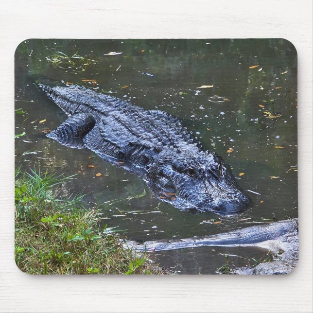 Schatten in den Untiefen Mousepad (Vorne)