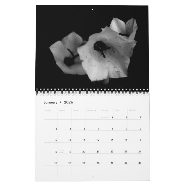 Schatten Kalender (Jan 2026)