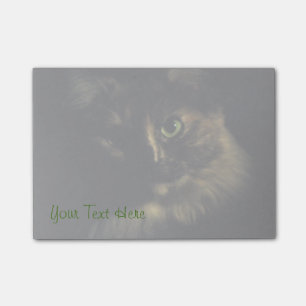Schatten-Katzen-Kunst-Fotografie-grüne Post-it Klebezettel
