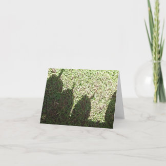 Schatten-Kürbise Karte