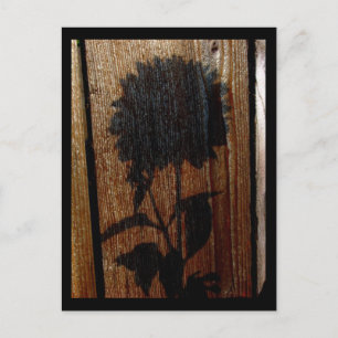 Schatten Postkarte