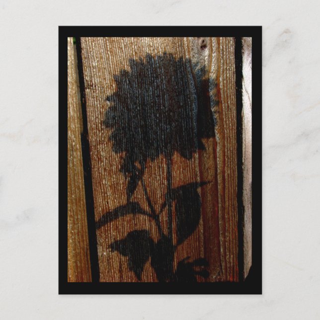 Schatten Postkarte (Vorderseite)